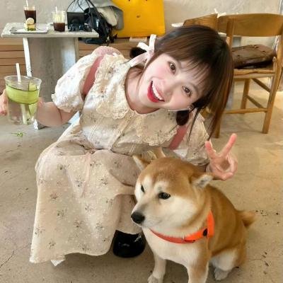 生存的机会